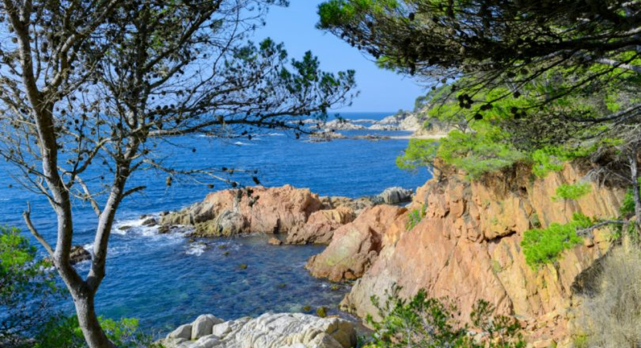 Calas de la Costa Brava