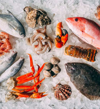 SEAFOOD EXPO GLOBAL BARCELONA 2022