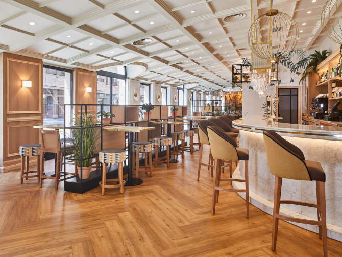 Pflanze Silken Café Dienstleistungen