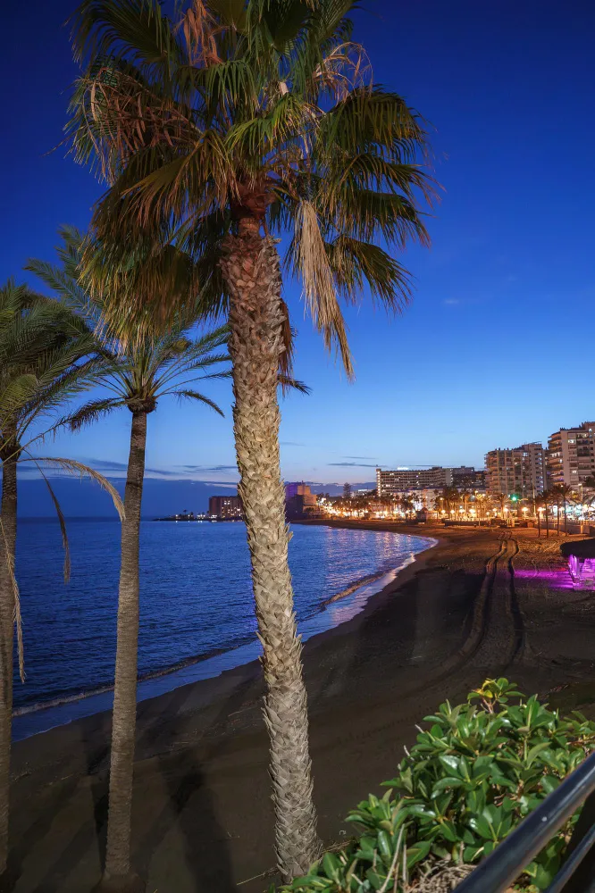 Vista nocturna de la playa con palmeras y luces urbanas en Benalmádena
