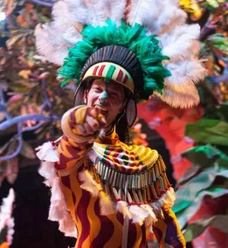 Carnavales en Tenerife y Las Palmas 2019. Fechas, programas y dónde dormir