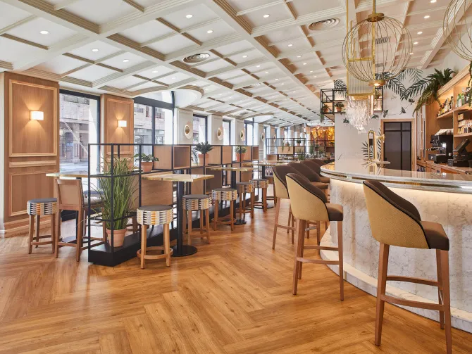 Pflanze Silken Café Dienstleistungen