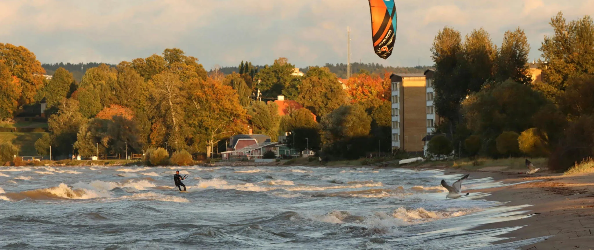 Kitesurfeur sur un lac avec des arbres d'automne.