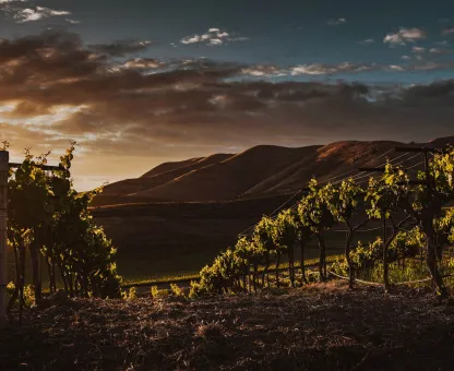 Ziel La Rioja Laguardia