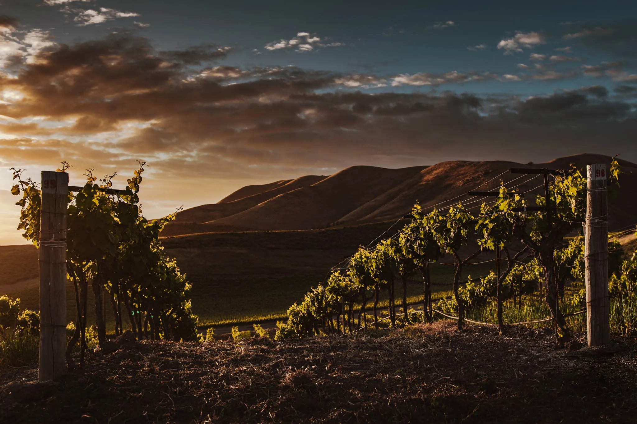 laguardia la rioja atardecer