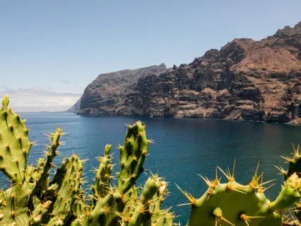 Puerto de la Cruz Reiseziel
