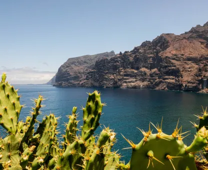 Puerto de la Cruz Reiseziel