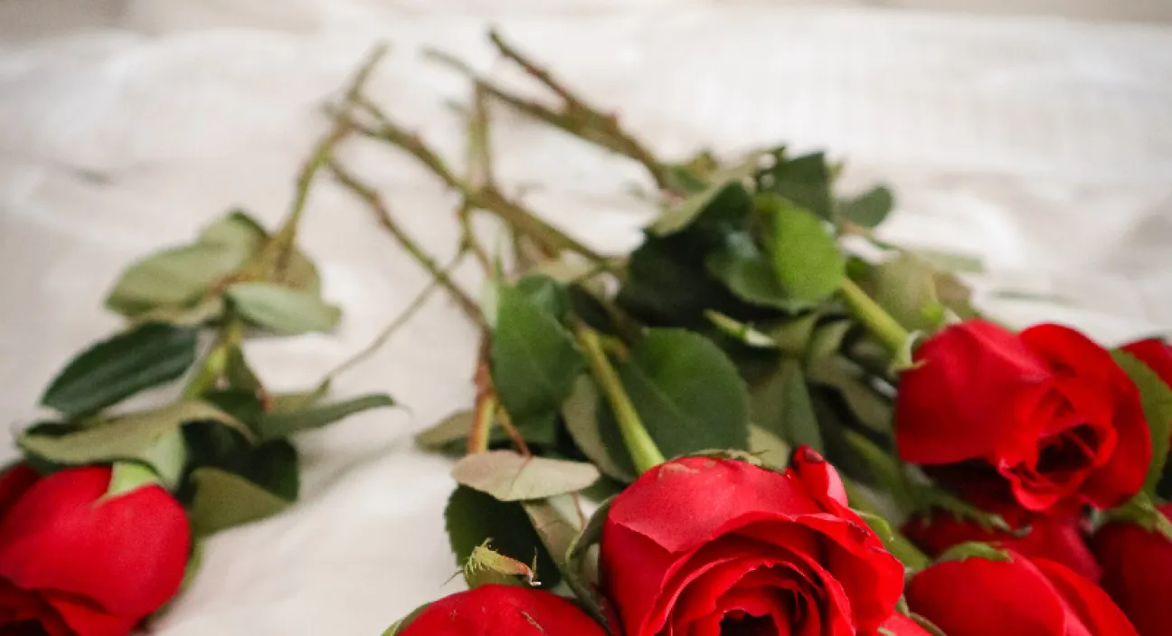 Ideas para San Valentín 2023