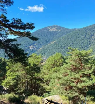 Excursiones cerca de Madrid