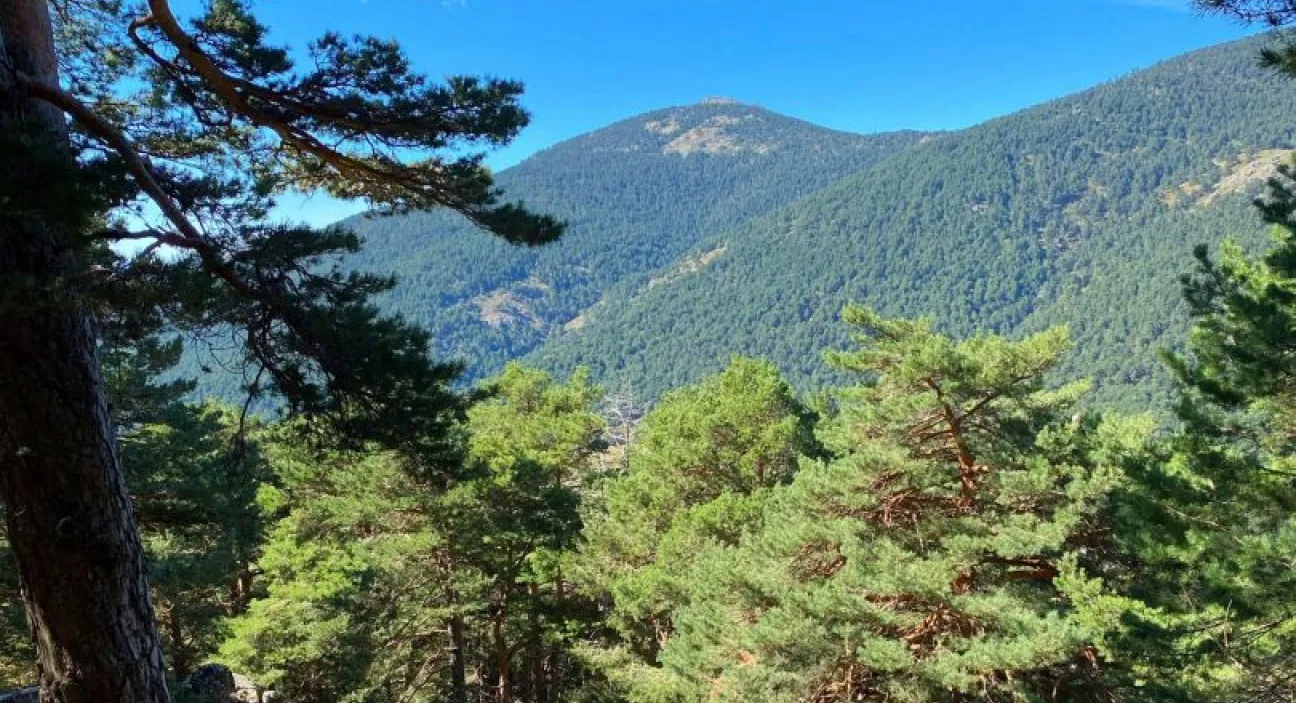 Excursiones cerca de Madrid