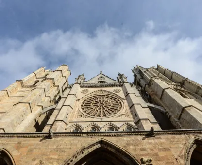 Ziel León
