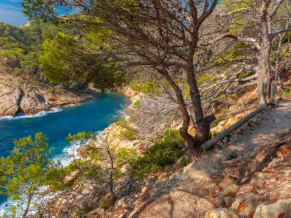 Ziel Platja de Aro Katalonien